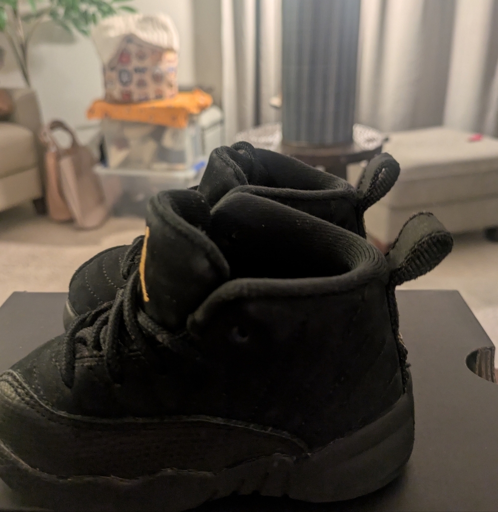 Toddler Air Jordan Retro 12.